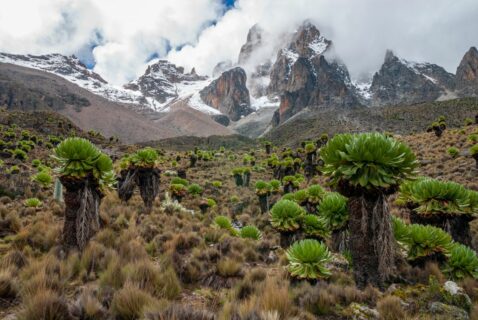 Mount Kenya: One of three glacier regions in Africa that lie not far from the equator in the middle of the tropics. (Image: AdobeStock/salparadis)